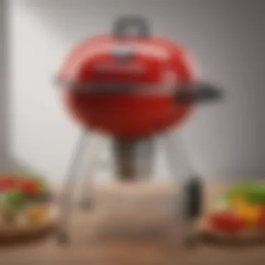 Magnificent Comprehensive Review of Weber Spirit E 210