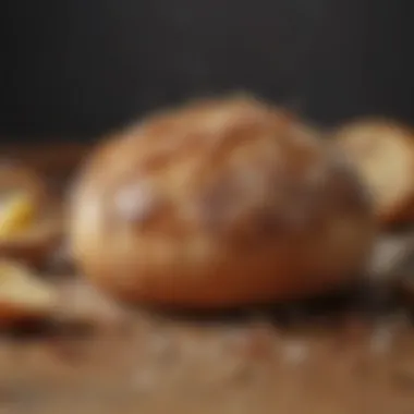 From Waste to Gourmet: The Art of Sourdough Discard Transforming waste into gourmet dishes