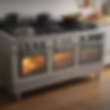 Stove Types Comparison Chart A comparison chart showcasing various stove types and their features.