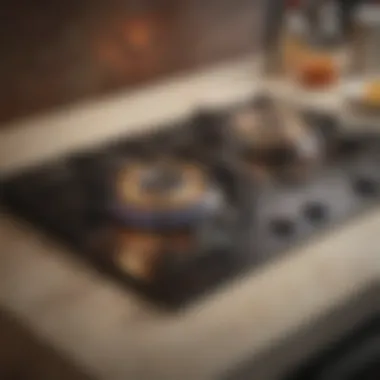 Sleek Modern Gas Stove A modern gas stove with sleek design and functionality.