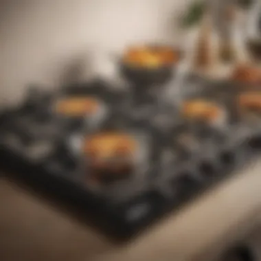 Optimal Performance Stove A well-maintained stove demonstrating optimal performance.