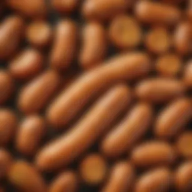 Nutritional Balance in Chicken Sausage Meals Balance of nutrients in chicken sausage diet