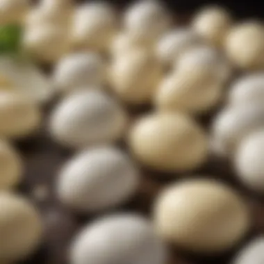 Exploring Mozzarella Varieties Different varieties of mozzarella cheese displayed