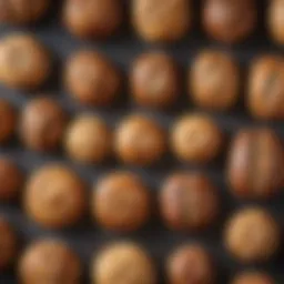 An array of diverse baking forms showcasing their unique shapes and materials.