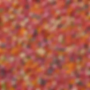 A Vibrant Palette of Barbie Q Food Ingredients Colorful assortment of Barbie Q food ingredients showcasing vibrant textures and hues