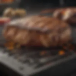 A premium grill showcasing its features