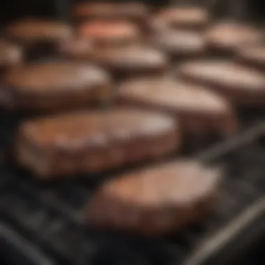 Types of Grills for Steaks Various types of grills lined up