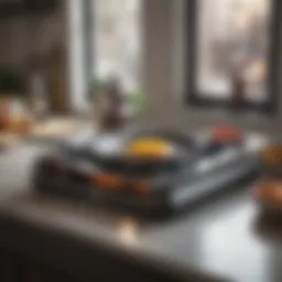 A sophisticated hot plate stove in a modern kitchen setting