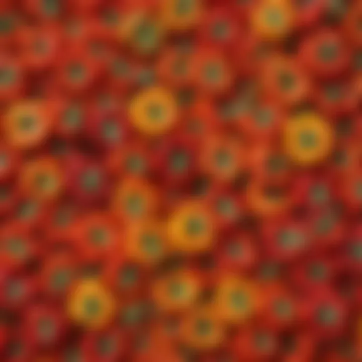 A colorful array of bell peppers sliced and arranged artistically