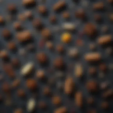 Essential Spices for Food Preservation An elegant arrangement of various spices used for food preservation