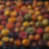 A vibrant display of assorted preserved fruits in jars