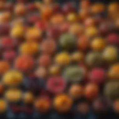 Vibrant Assortment of Preserved Fruits A vibrant display of assorted preserved fruits in jars