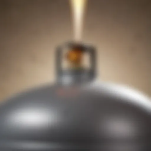 A detailed view of a small propane tank and its nozzle