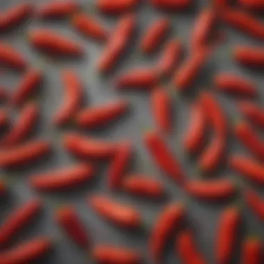 Cayenne Pepper: Health Insights A scientific illustration depicting the health benefits of cayenne pepper, including metabolism boost and digestion aid