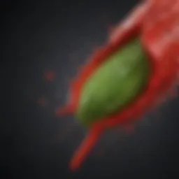 A vibrant cayenne pepper with droplets of water highlighting its texture and color