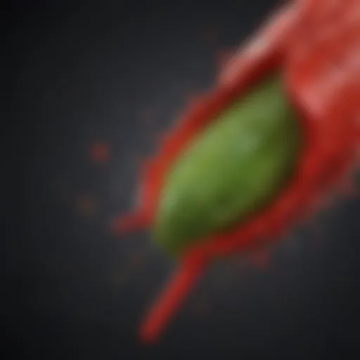 A vibrant cayenne pepper with droplets of water highlighting its texture and color
