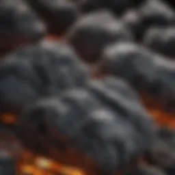 Different types of charcoal displayed for grilling