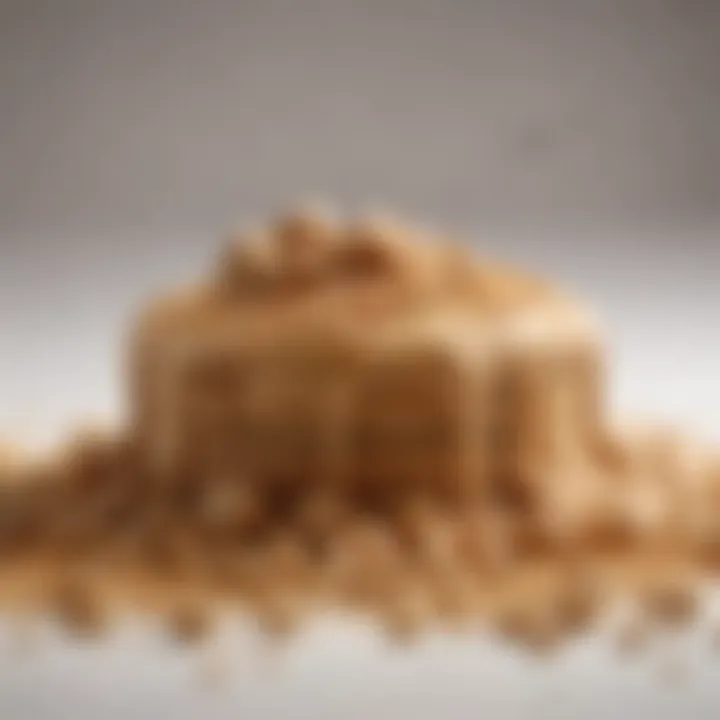 Close-up of high-quality powdered peanut butter texture