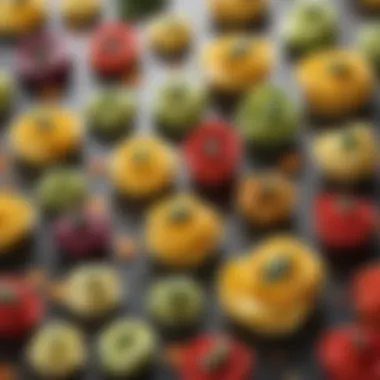 An assortment of colorful tortellini filled with various ingredients, representing the dish's versatility.