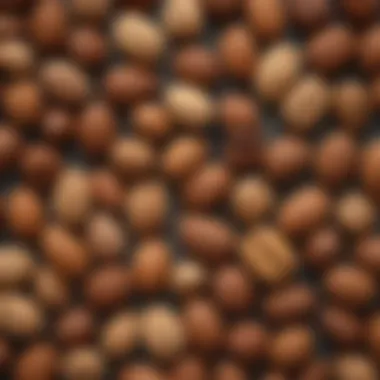 Nut Varieties for a Keto-Friendly Snack A vibrant spread of assorted nuts including walnuts, almonds, and macadamia