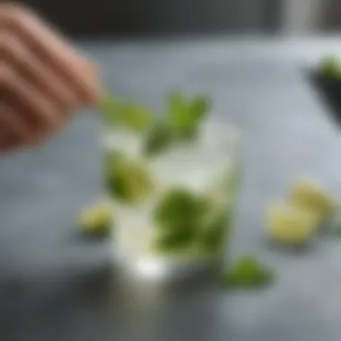 A refreshing mojito garnished with lime and mint