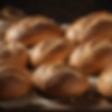 Heritage of Baking Traditions Artisan bread loaves representing traditional baking techniques