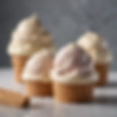 Nutritional Insights of Dairy-Free Ice Creams Nutritional labels of different dairy-free ice cream products