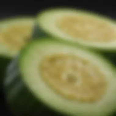 Vibrant Green Zucchini Sliced zucchini showcasing its vibrant green color