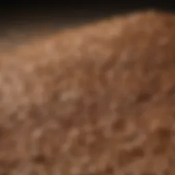 Close-up of flax seeds showcasing their rich texture