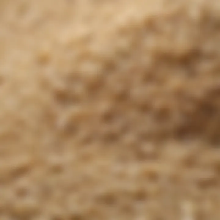 Close-up of aromatic rice grains