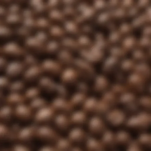 Close-up of smooth espresso beans showcasing their rich texture