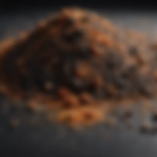 A close-up of blackened seasoning blend with vibrant spices