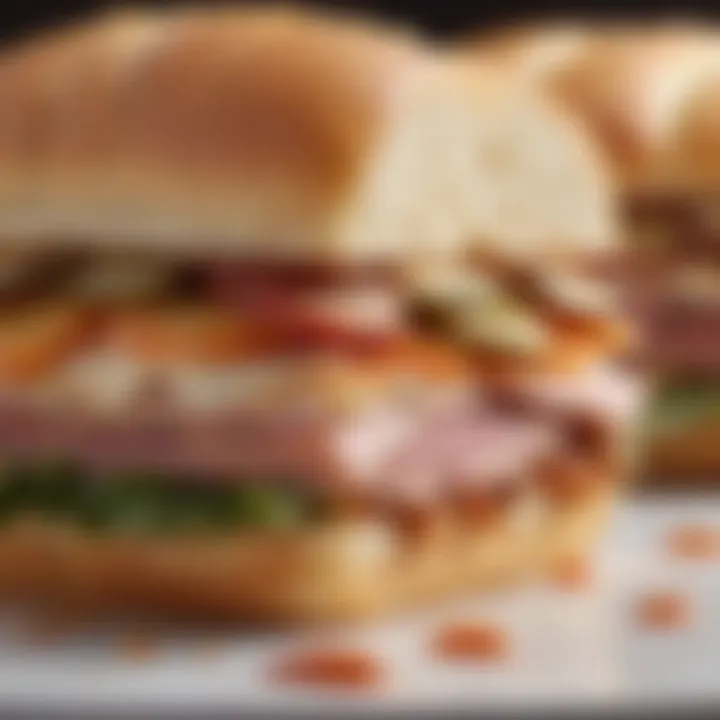 A close-up of a gourmet sandwich from Dunkin' Donuts' lunch menu