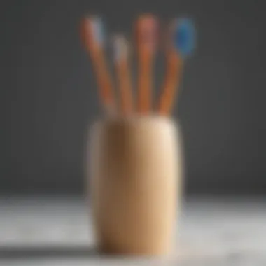 Eco-friendly materials used in the construction of a full circle toothbrush holder.