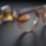 Different types of eyeglass lenses showcasing clarity and durability