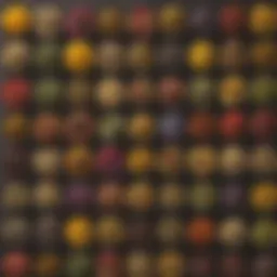 A vibrant selection of herbal teas showcasing their variety and colors.