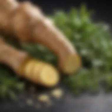 Powerful Ginger and Herb Infusion Ginger root and fresh herbs, both recognized for their health benefits