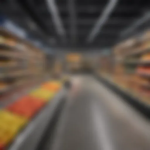 A view of a Lidl store showcasing its modern design and layout