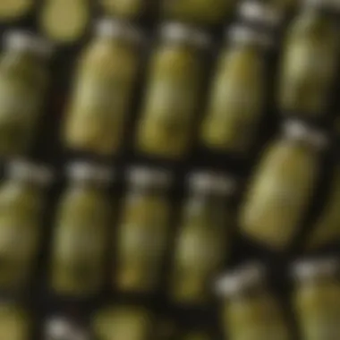 A vibrant assortment of McClure Pickles products on display