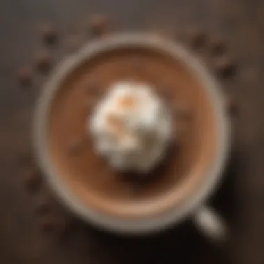 Diverse Flavor Palette for Mocha An assortment of flavor ingredients for a mocha hot chocolate blend