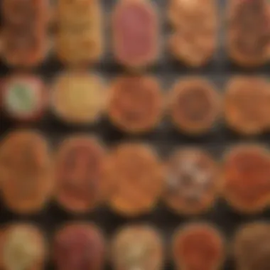Culinary Diversity in Menu Offerings Diverse menu offerings highlighting cultural influences