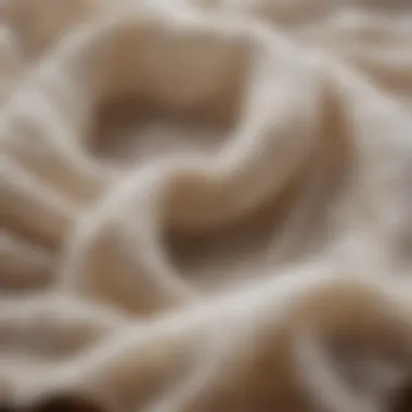 Close-up view of cheesecloth fabric showcasing its texture and weave