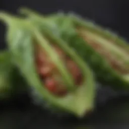 Close-up of fresh okra pods with dew drops