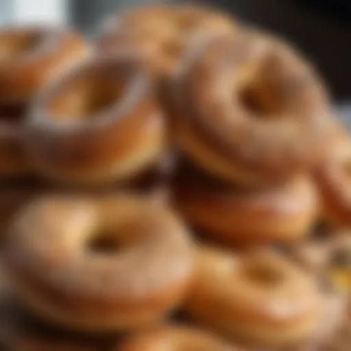 A selection of artisanal New York bagels showcasing various toppings.