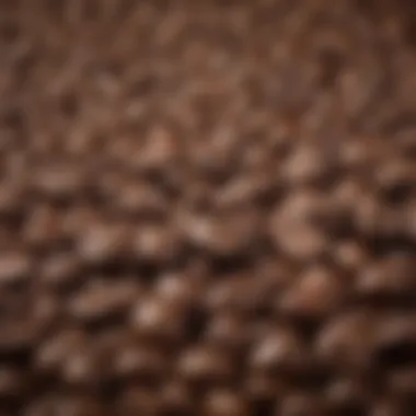 Locally Sourced Coffee Beans Coffee beans sourced from a local farm