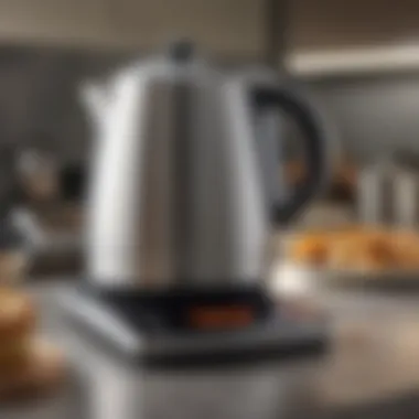 User-friendly kettle interface with digital display