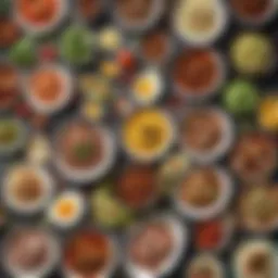 An array of vibrant keto dishes showcasing diversity in ingredients.