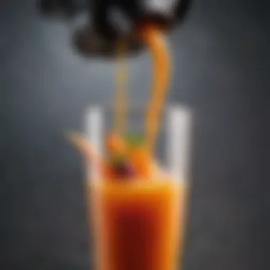 Close-up of Extracted Juice Close-up of juice extracted from fruits and vegetables