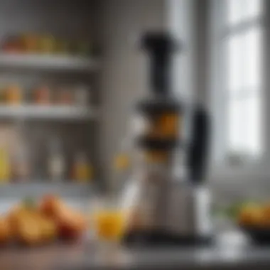 Sleek Design of Omega Cold Press Juicer Omega cold press juicer showcasing its sleek design