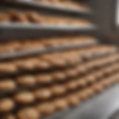 Bakery Showcasing Bulk Cookies A thriving bakery showcasing bulk cookie options